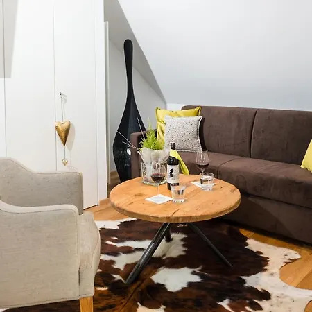 Hindenburg Apart Otel Saalfelden